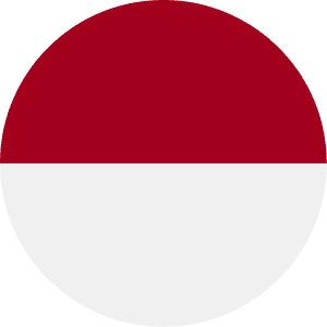 Mobile Legends | Индонезия